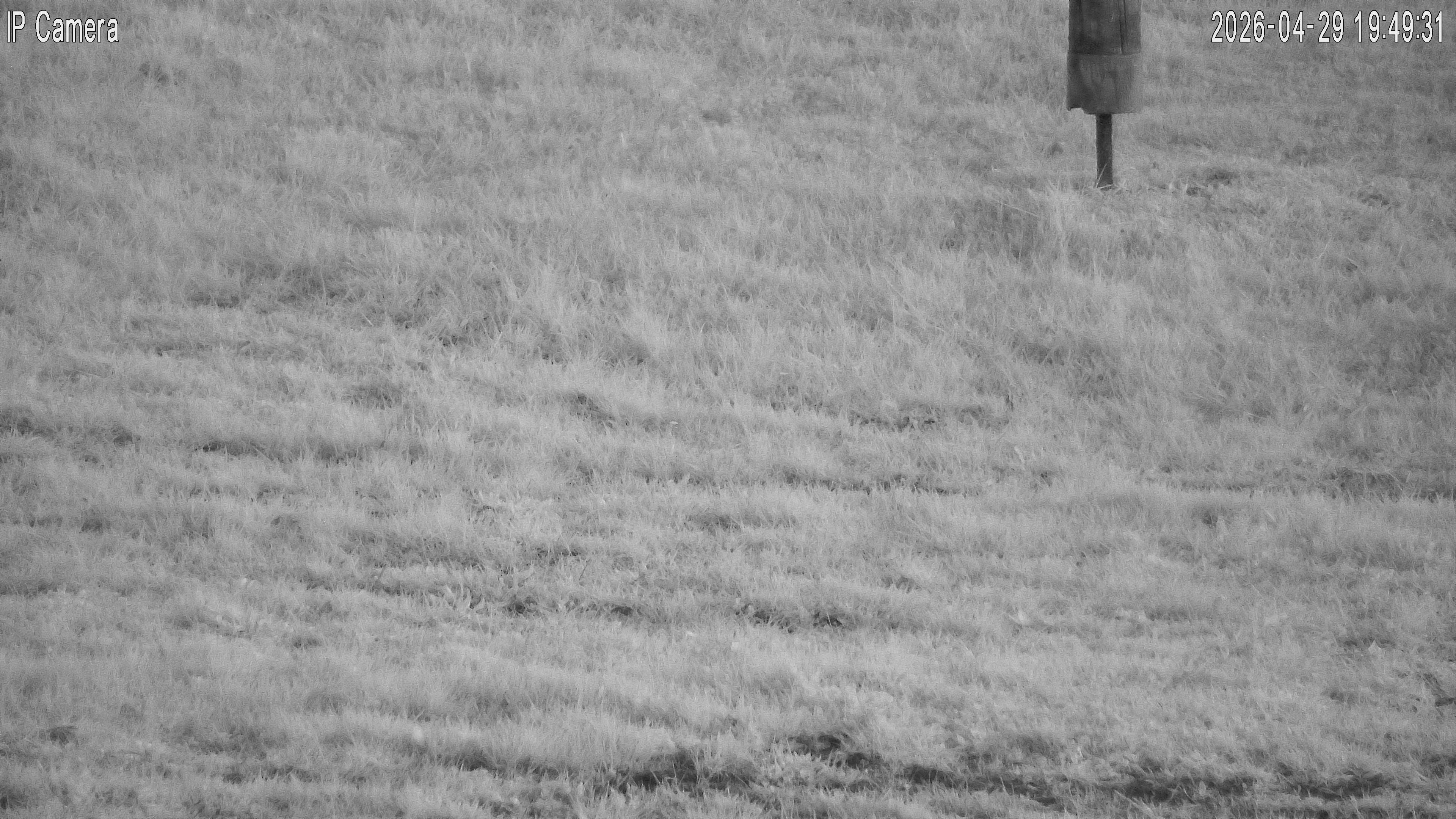 Aktuální snímek z webkamery